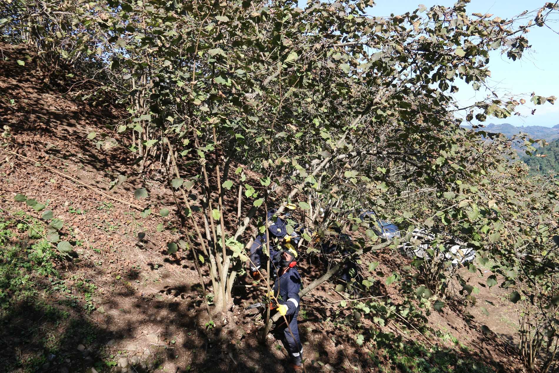 BAŞKAN HİLMİ GÜLER ÜRETİCİNİN YANINDA